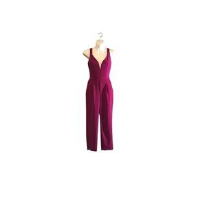 Express Purple V Neck Jumpsuit